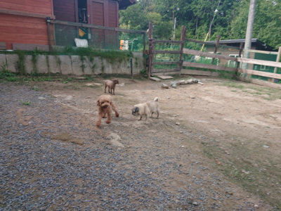 f:id:roukenhome-ann:20190822142547j:plain