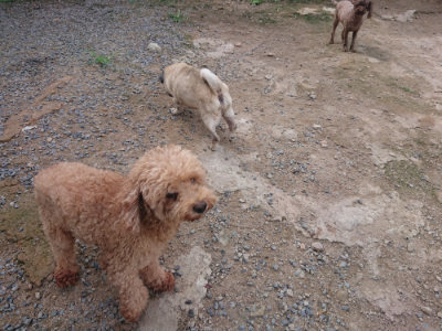 f:id:roukenhome-ann:20190822142555j:plain