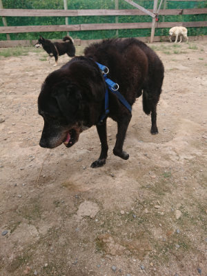 f:id:roukenhome-ann:20190822142610j:plain