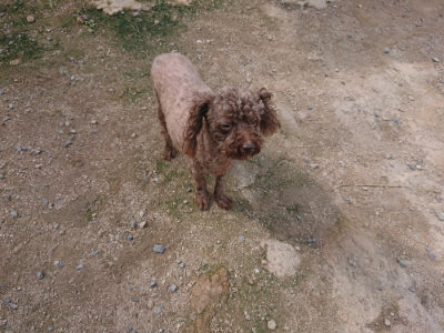f:id:roukenhome-ann:20190822142620j:plain