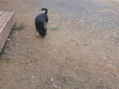 f:id:roukenhome-ann:20190822142647j:plain