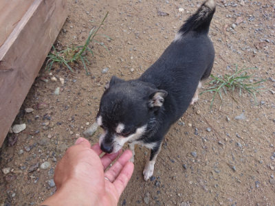 f:id:roukenhome-ann:20190822142703j:plain