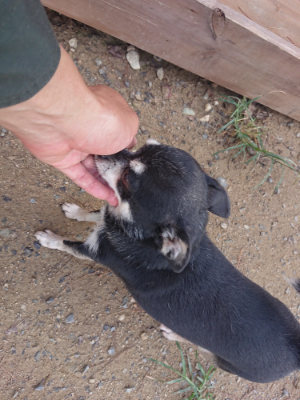 f:id:roukenhome-ann:20190822142708j:plain