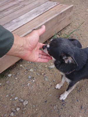 f:id:roukenhome-ann:20190822142726j:plain