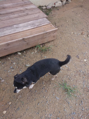 f:id:roukenhome-ann:20190822142747j:plain