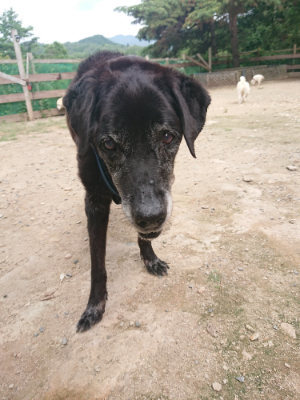 f:id:roukenhome-ann:20190822142807j:plain