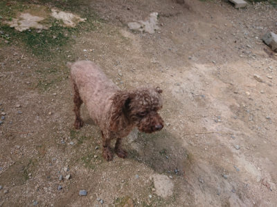 f:id:roukenhome-ann:20190822143119j:plain