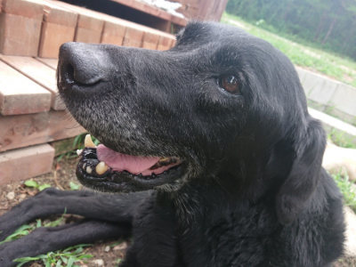 f:id:roukenhome-ann:20190822202316j:plain