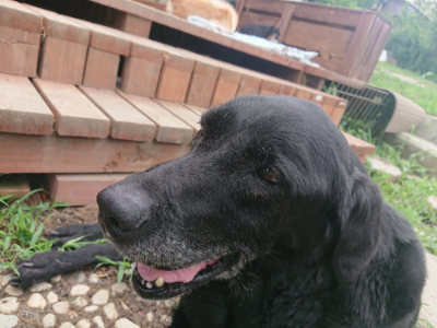 f:id:roukenhome-ann:20190822202443j:plain