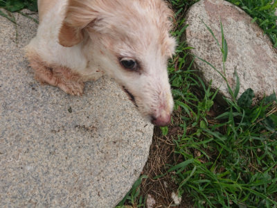 f:id:roukenhome-ann:20190822202704j:plain
