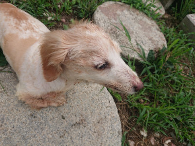 f:id:roukenhome-ann:20190822202712j:plain