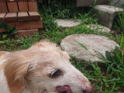 f:id:roukenhome-ann:20190822202713j:plain