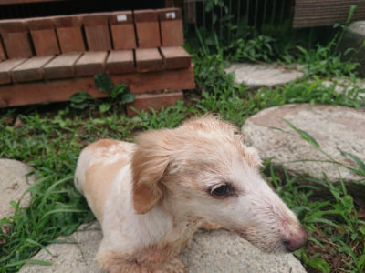 f:id:roukenhome-ann:20190822202720j:plain