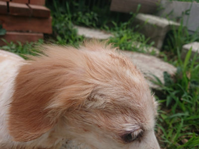 f:id:roukenhome-ann:20190822202752j:plain