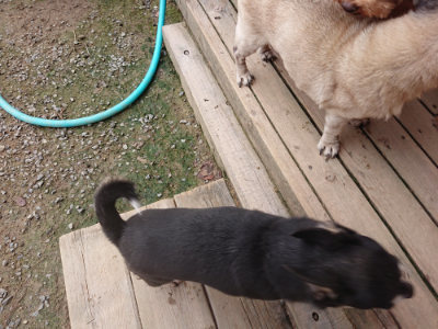 f:id:roukenhome-ann:20190823073458j:plain