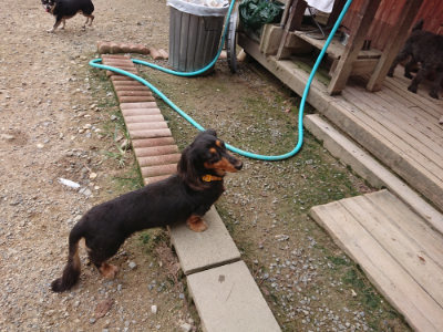 f:id:roukenhome-ann:20190823073653j:plain