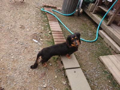 f:id:roukenhome-ann:20190823073658j:plain