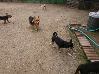 f:id:roukenhome-ann:20190823073719j:plain