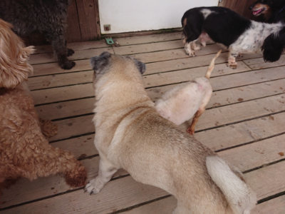 f:id:roukenhome-ann:20190823073833j:plain