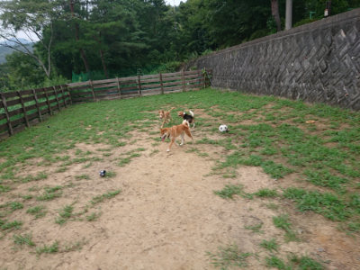 f:id:roukenhome-ann:20190823073858j:plain