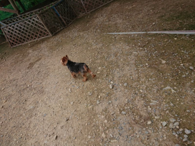 f:id:roukenhome-ann:20190823073909j:plain