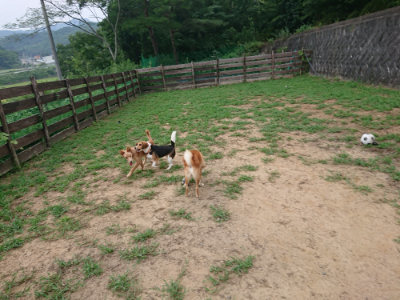 f:id:roukenhome-ann:20190823073920j:plain