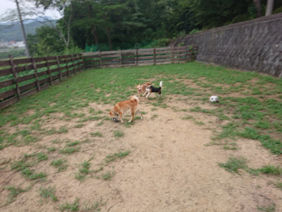f:id:roukenhome-ann:20190823074055j:plain
