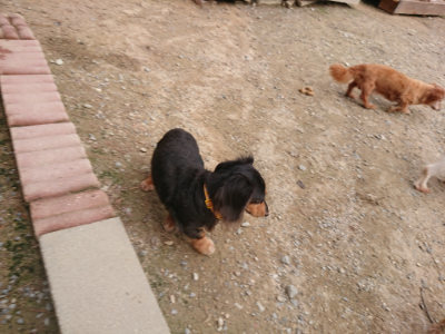 f:id:roukenhome-ann:20190823074156j:plain