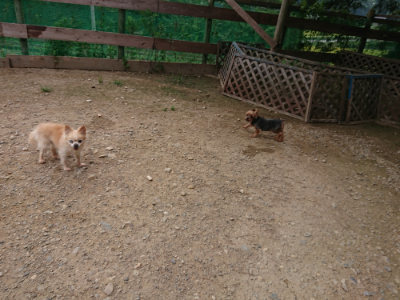 f:id:roukenhome-ann:20190823074209j:plain