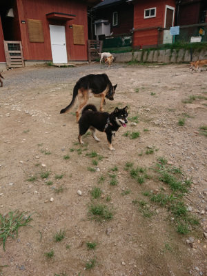 f:id:roukenhome-ann:20190823074255j:plain