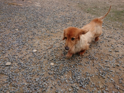 f:id:roukenhome-ann:20190823074456j:plain