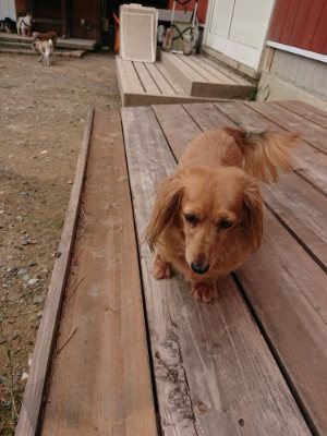 f:id:roukenhome-ann:20190823074705j:plain
