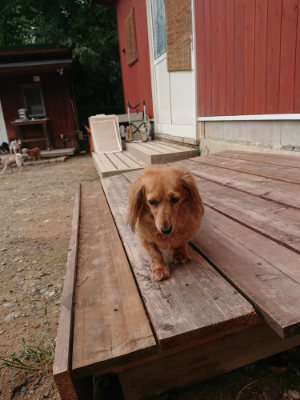 f:id:roukenhome-ann:20190823074715j:plain