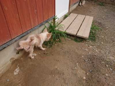 f:id:roukenhome-ann:20190823074730j:plain