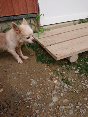 f:id:roukenhome-ann:20190823074814j:plain