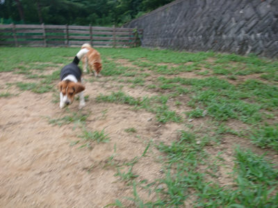 f:id:roukenhome-ann:20190823074827j:plain