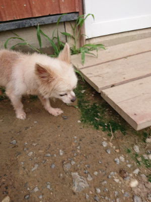 f:id:roukenhome-ann:20190823074832j:plain
