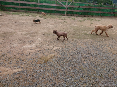 f:id:roukenhome-ann:20190823074837j:plain