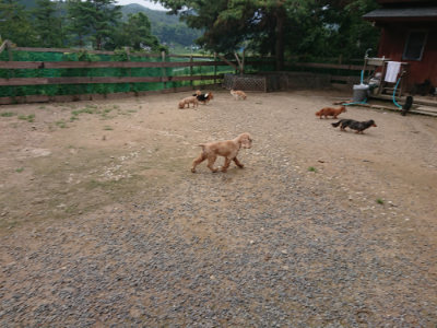 f:id:roukenhome-ann:20190823074909j:plain