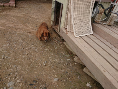 f:id:roukenhome-ann:20190823074937j:plain