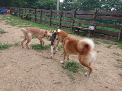 f:id:roukenhome-ann:20190823075004j:plain