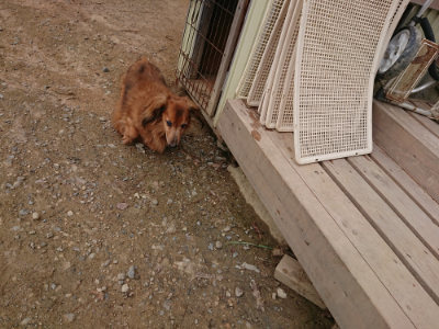 f:id:roukenhome-ann:20190823075020j:plain
