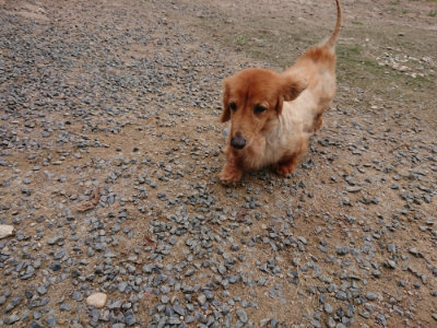 f:id:roukenhome-ann:20190823075050j:plain