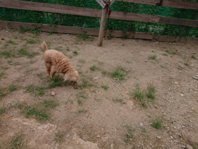 f:id:roukenhome-ann:20190823075523j:plain