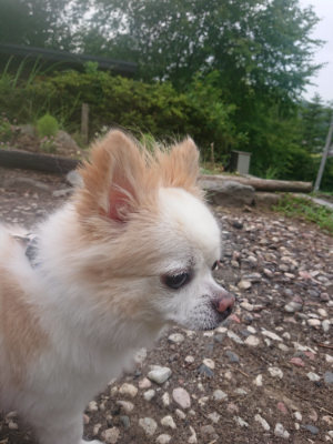 f:id:roukenhome-ann:20190823075535j:plain