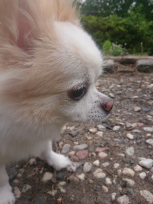 f:id:roukenhome-ann:20190823075541j:plain