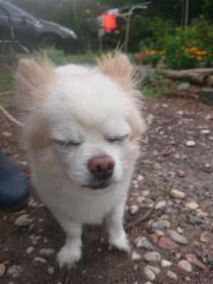 f:id:roukenhome-ann:20190823075545j:plain