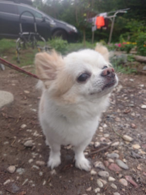 f:id:roukenhome-ann:20190823075551j:plain