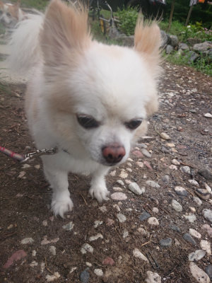 f:id:roukenhome-ann:20190823075601j:plain