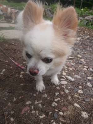 f:id:roukenhome-ann:20190823075612j:plain